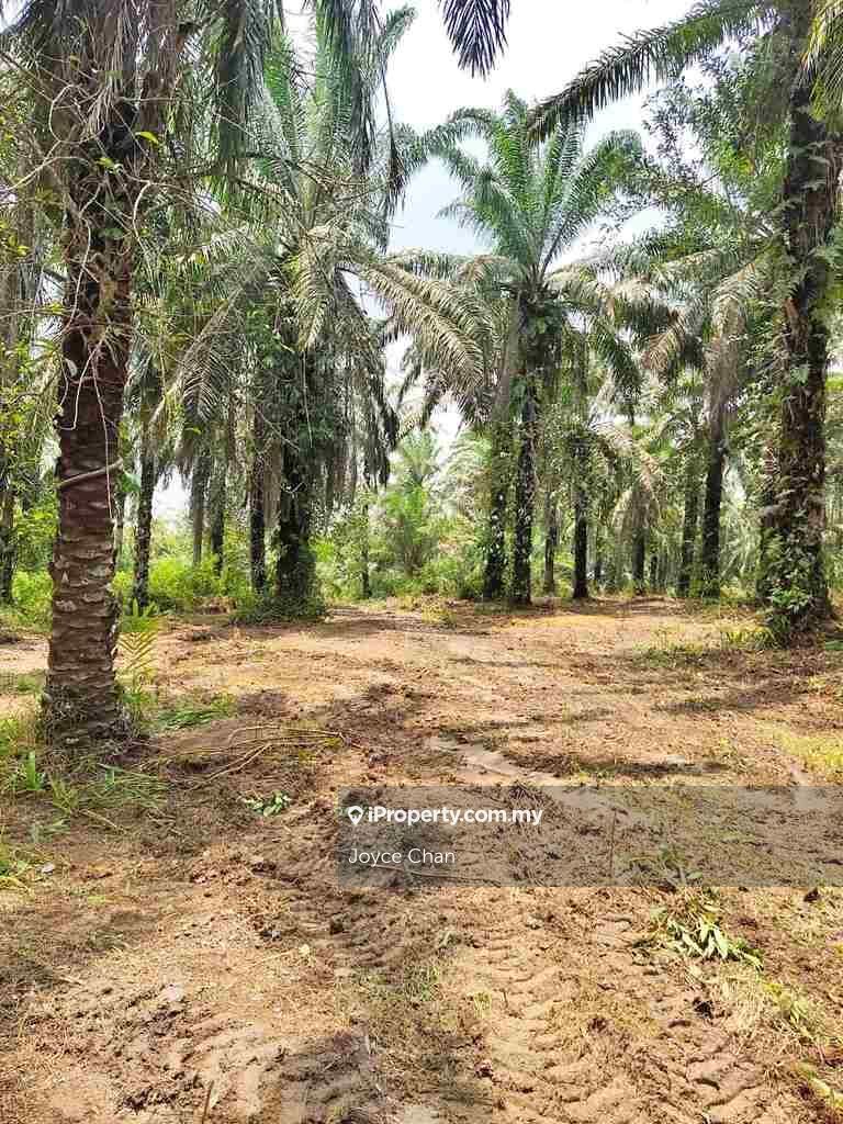 Tempat Sungai Raya Mukim Tanjung Surat Pengerang For Sale Rm