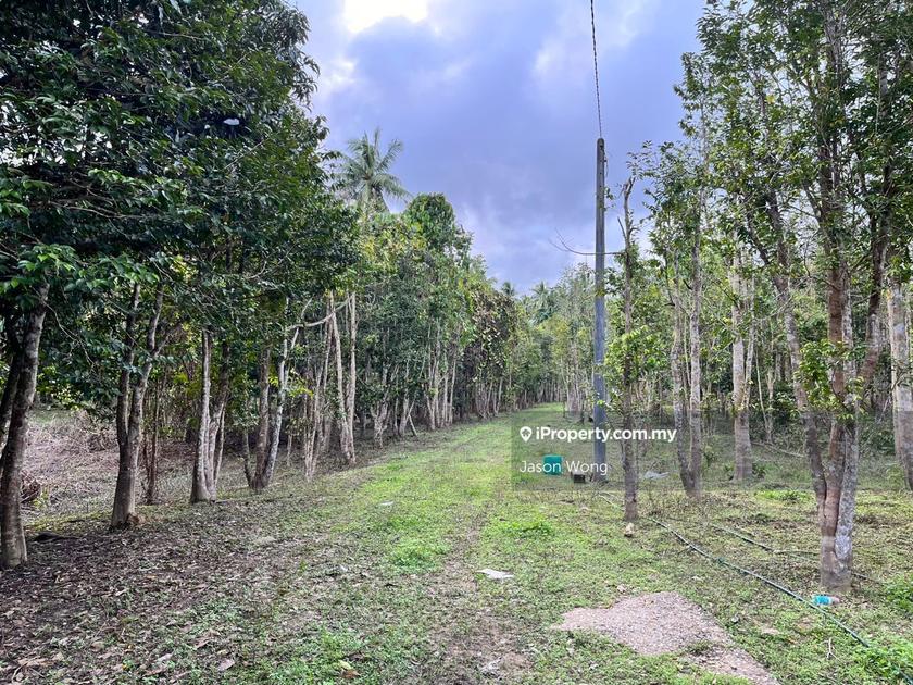 Endau Kuala Rompin Pahang Jalan Jawa Johor Laluan Persekutuan 3 Endau