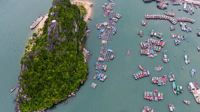 KĐT ven biển Cái Rồng