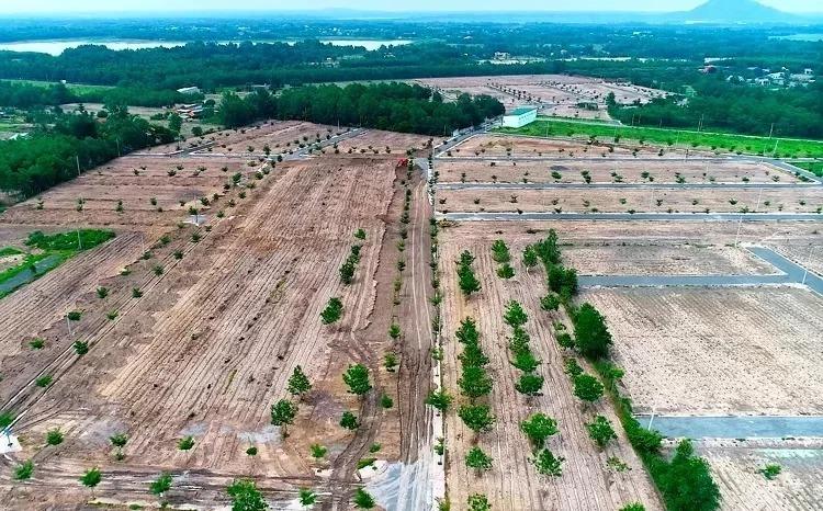 cách thức vẽ dự án ma