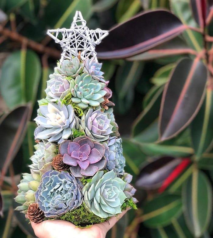 Cây Noel mini bằng sen đá