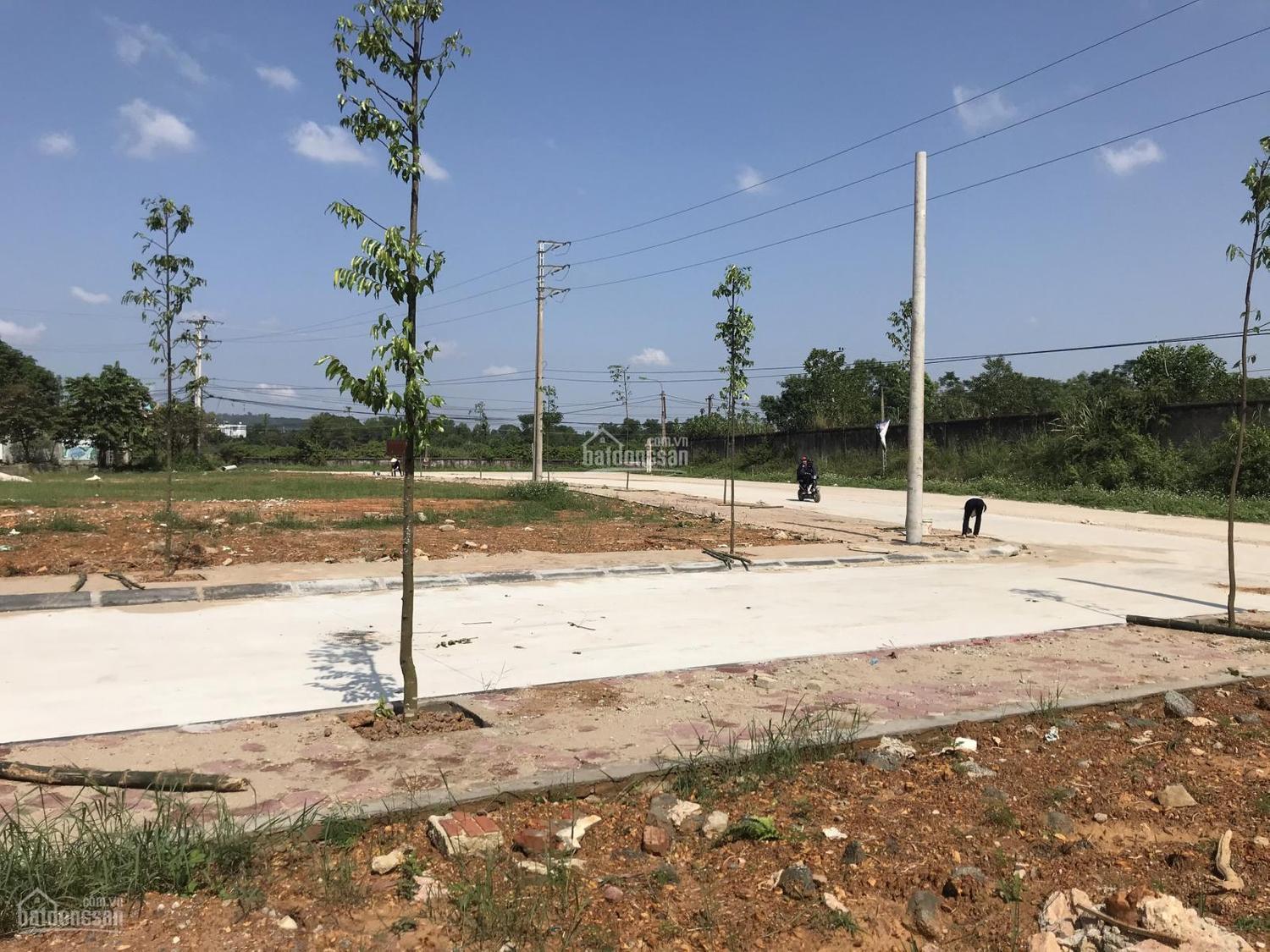 khu đất nền đã làm đường trồng cây