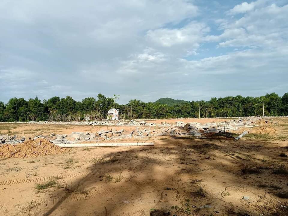 khu đất trống phía xa có nhiều cây xanh