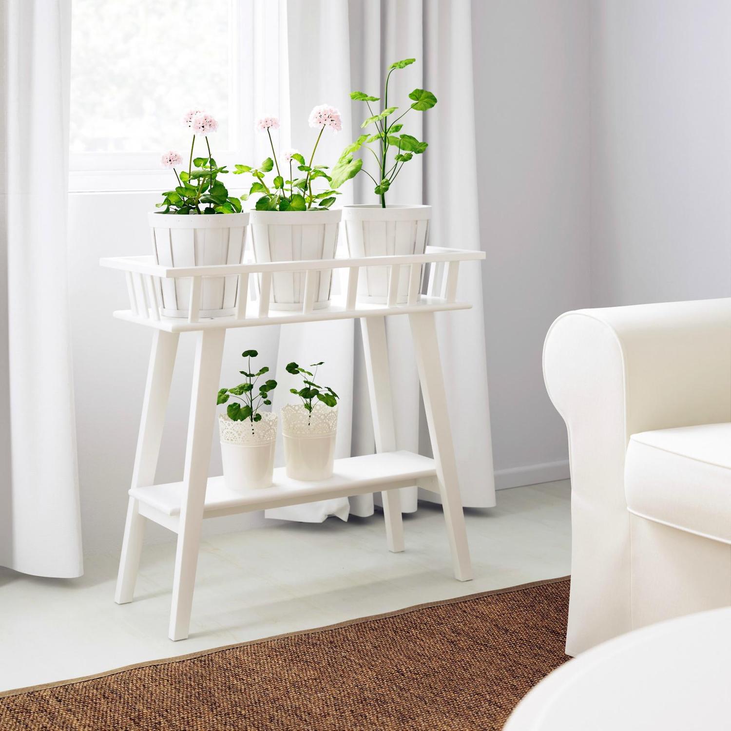 các loại giá đặt cây để trang trí cửa sổ