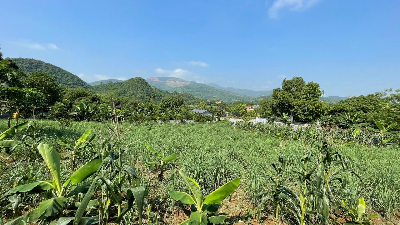 hình ảnh bất động sản ven đô