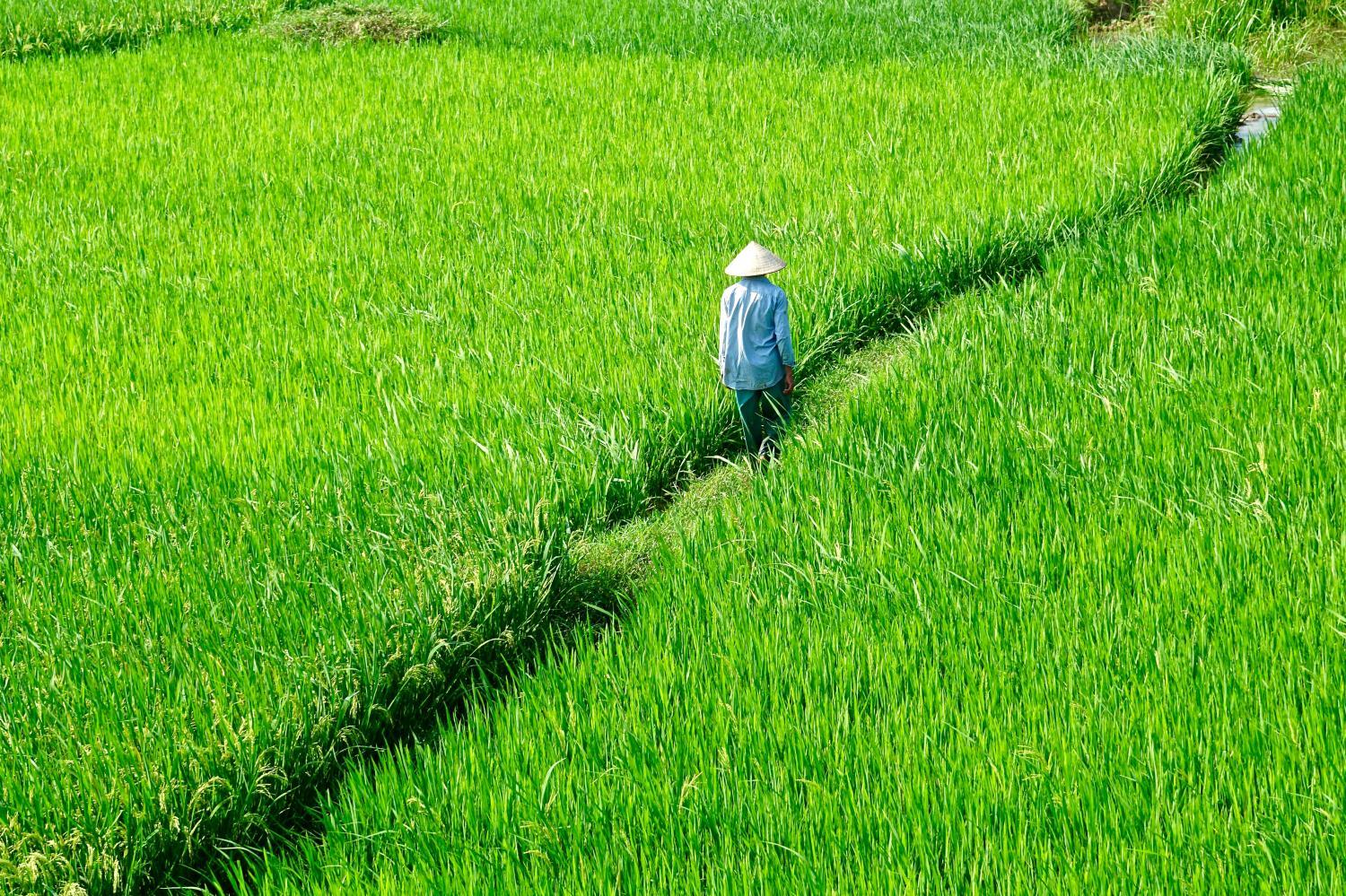 Đừng quên đăng ký biến động đất đai sau khi ký hợp đồng chuyển nhượng quyền sử dụng đất