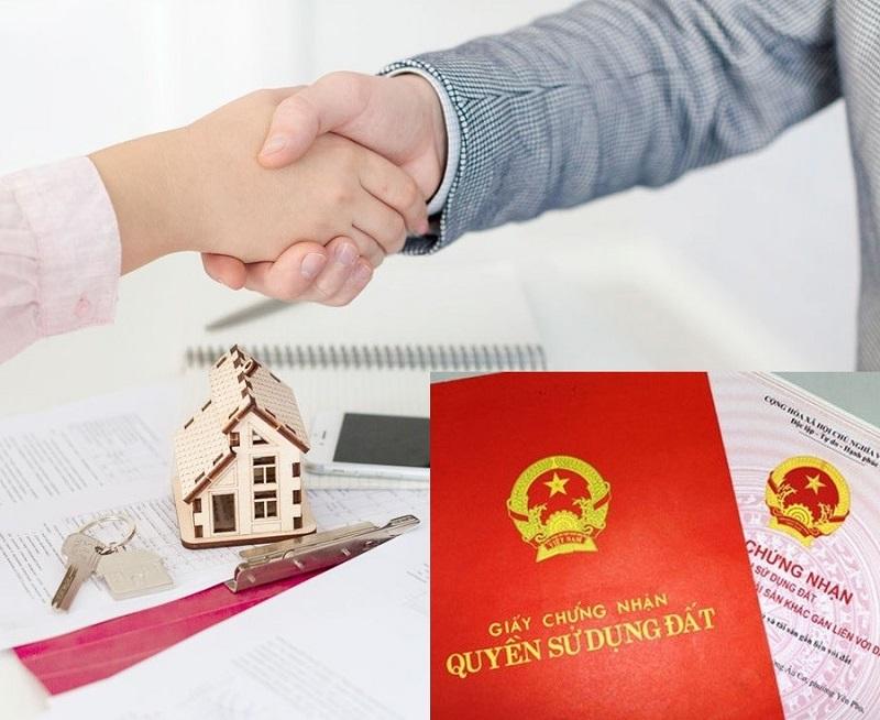 Chúng ta chỉ nên ưu tiên các giao dịch đất nông nghiệp có Sổ đỏ