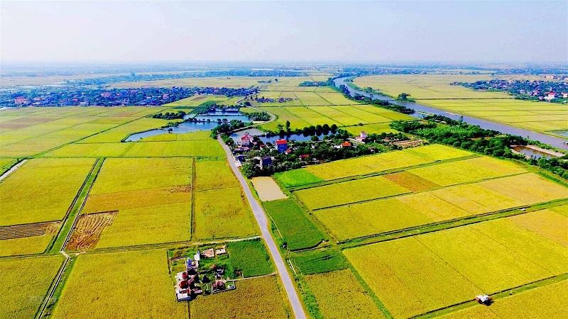 Đất nông nghiệp muốn giao dịch cần thoả mãn một số điều kiện của Nhà nước