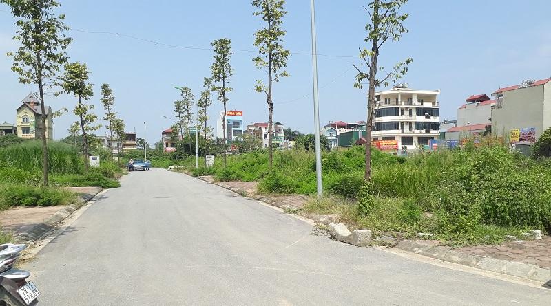 đất đấu giá