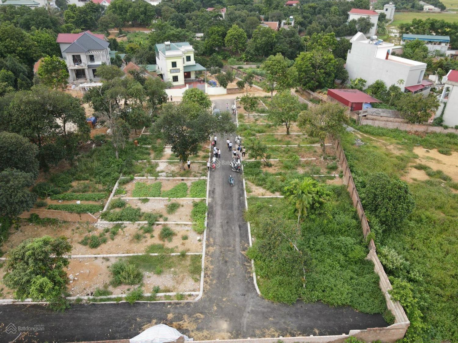 Đất Thạch Thất rao bán trên batdongsan.com.vn