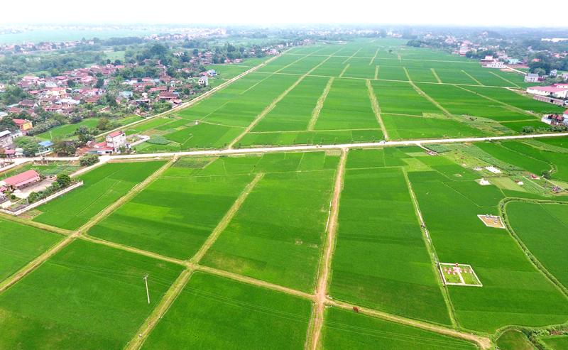 Có được xây nhà trên đất LUC không?