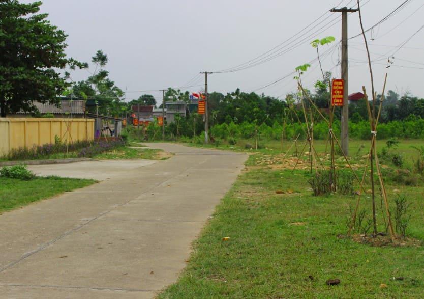 Ảnh minh họa đất ONT là gì