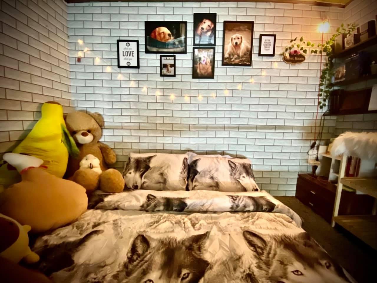 decor phòng trọ đẹp rẻ