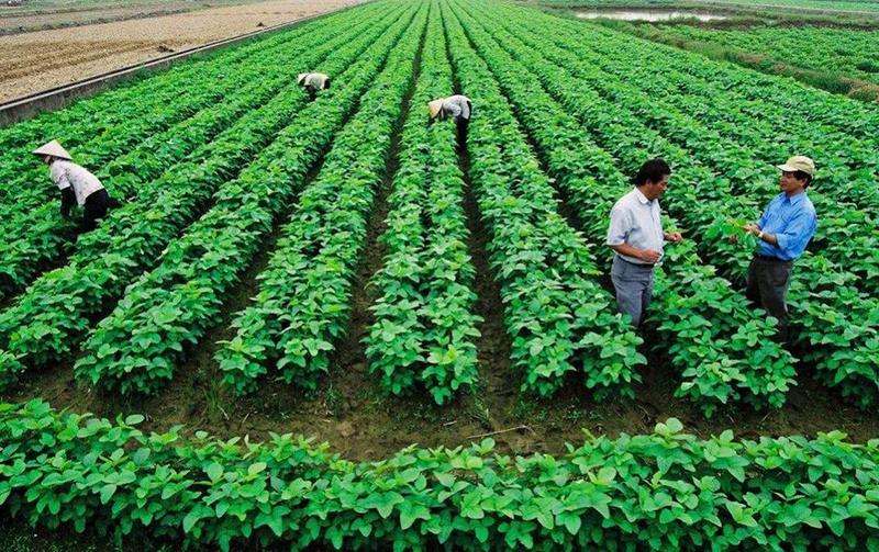 Người dân có thể nhận chi phí hỗ trợ ổn định đời sống