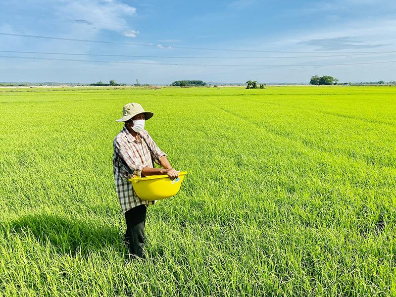  Người dân không được thỏa thuận giá đền bù đất của Nhà nước