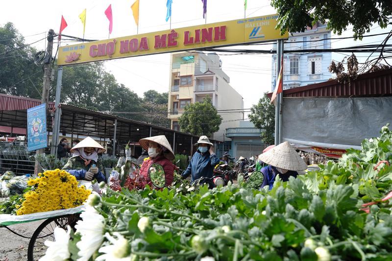 Làng hoa Mê Linh Hà Nội