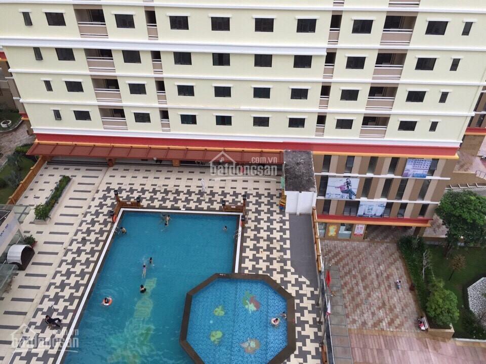 Hồ bơi