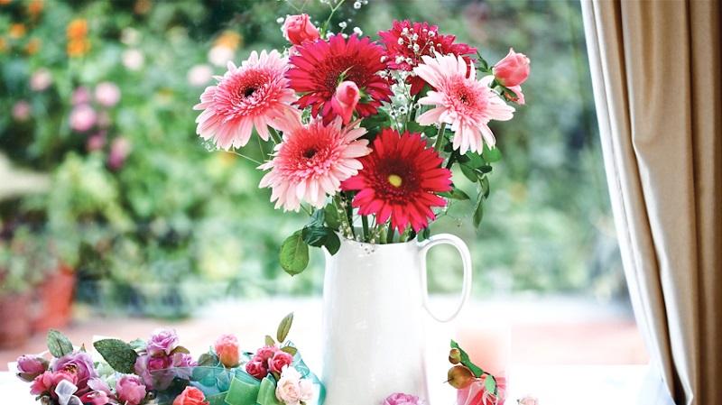 Chỉ cần một lọ hoa đồng tiền như thế này cũng khiến căn phòng khách thêm rực rỡ