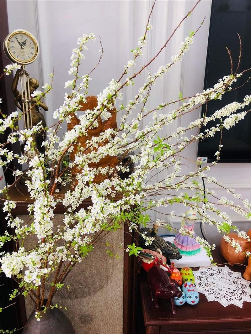 Bình hoa tuyết mai nở rực rỡ