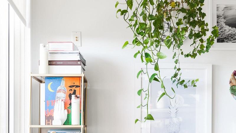 Bạn nên tạo sự kết nối giữa cây với các chi tiết trang trí khác