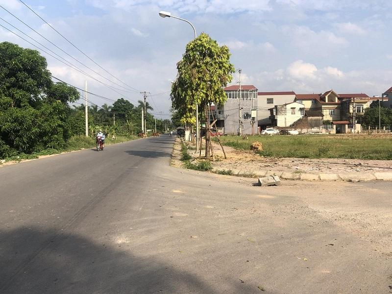 Cùng với đất đai, nhu cầu nhà ở thuộc nhiều phân khúc cũng có thể tăng cao