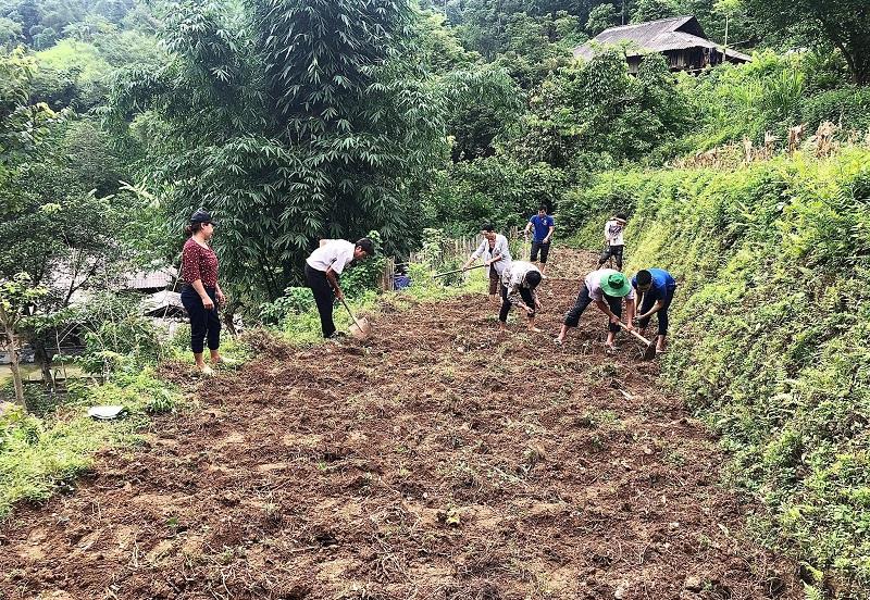  Hình ảnh người dân đang cải tạo đất vườn tạp