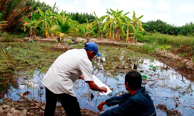 tăng hệ số giá đất