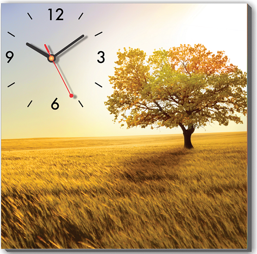 làm đẹp cho không gian nhà mùa hè