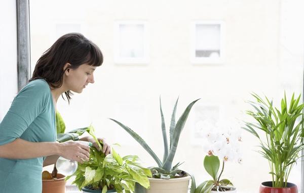 cách giảm ô nhiễm không khí trong nhà