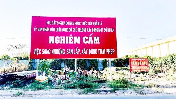 phân lô bán nền