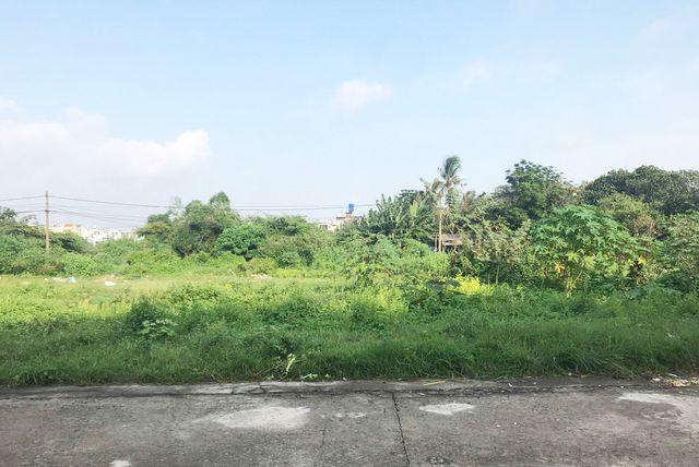 dự án ma