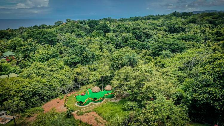 khu rừng rậm rạp