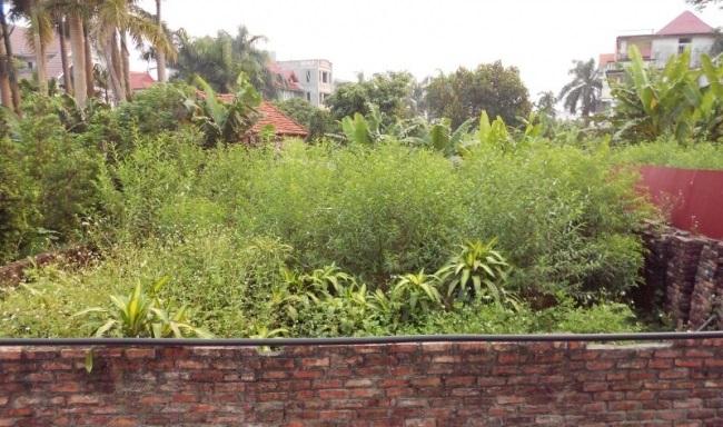 đầu tư đất xen kẹt