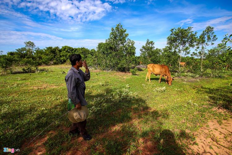 nhận biết dự án ma