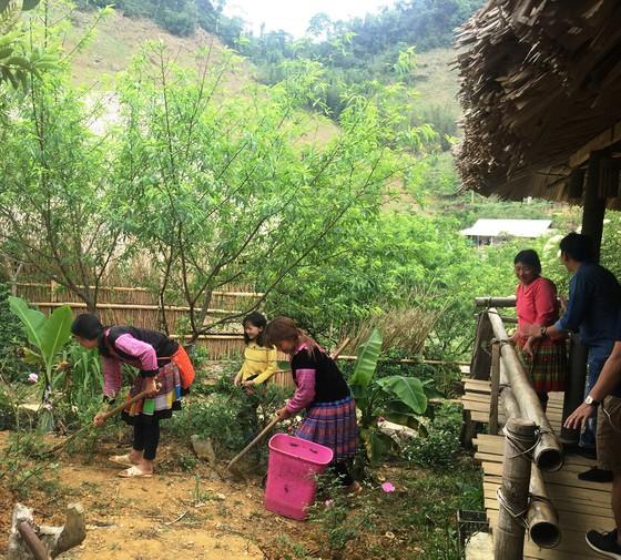 kinh doanh homestay