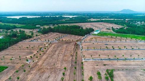 đình chỉ doanh nghiệp bất động sản