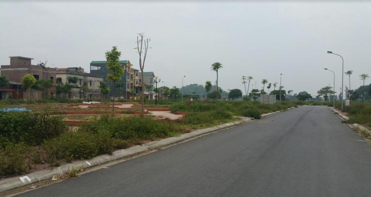 1 con đường rộng, xung quanh là cây cối, xa xa có một vài ngôi nhà