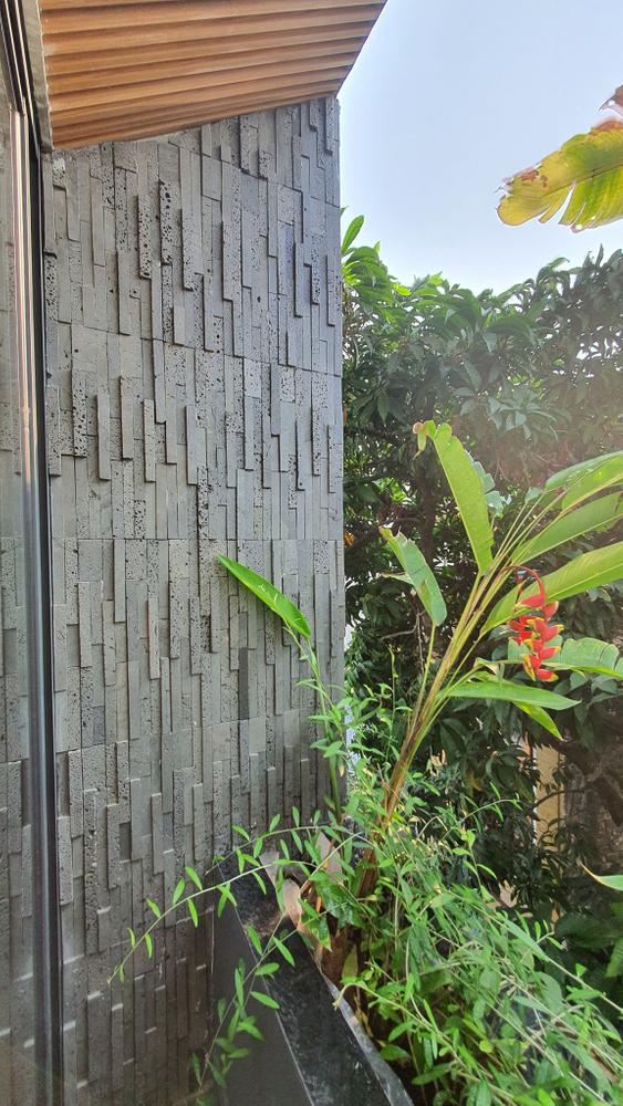 ban công trồng cây xanh