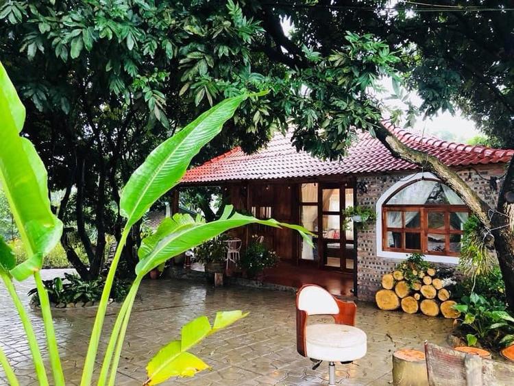 Nhà vườn mái cong, giữa nhiều cây cối, phía trước là sân gạch.