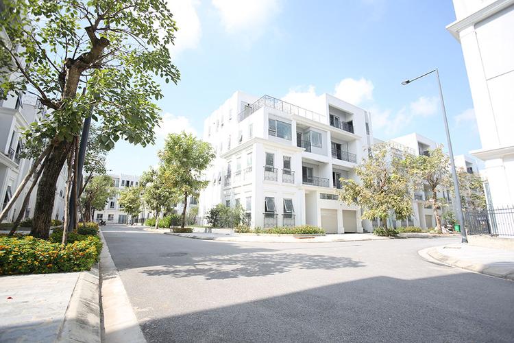 Đường dự án đô thị