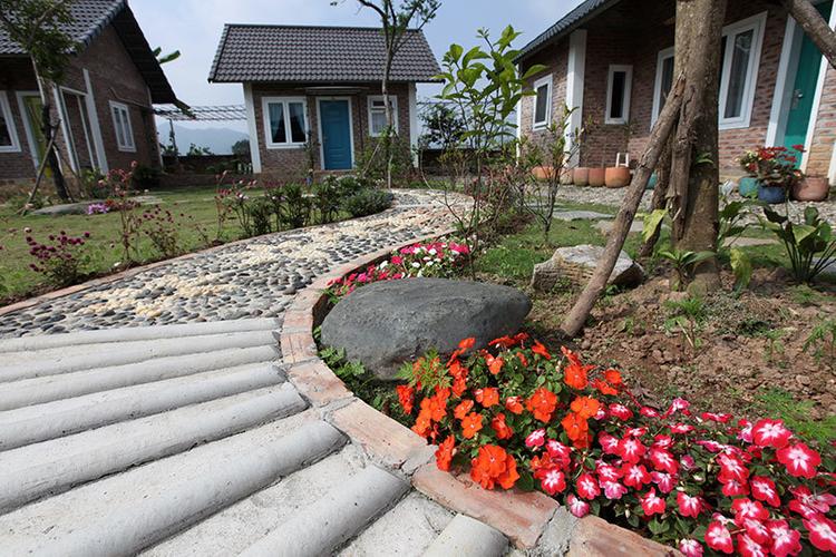 Hoa cỏ khoe sắc dọc theo lối đi