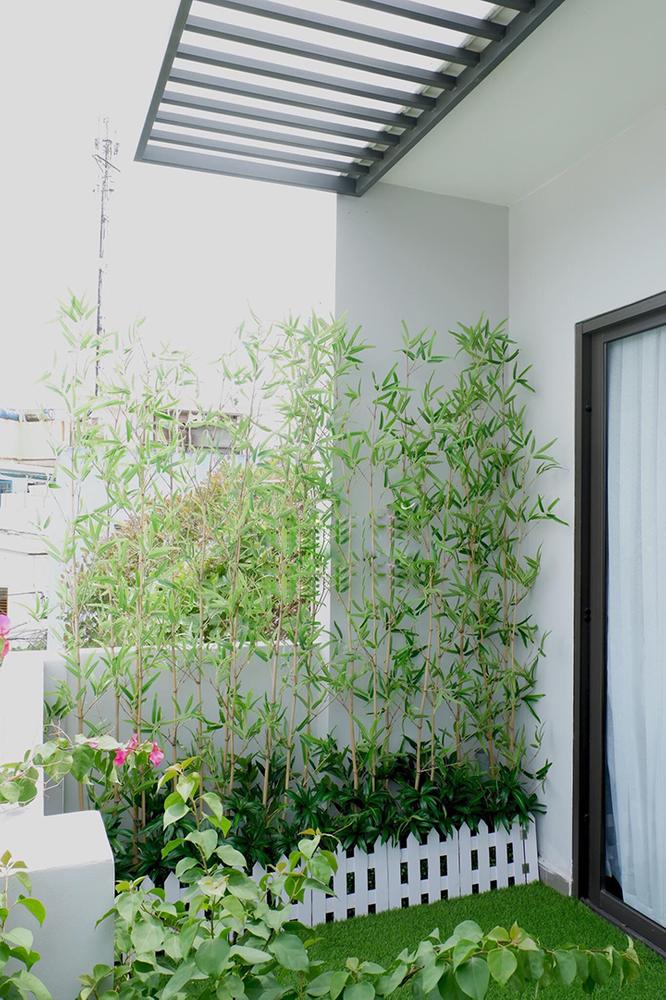 Cây Trúc quân tử