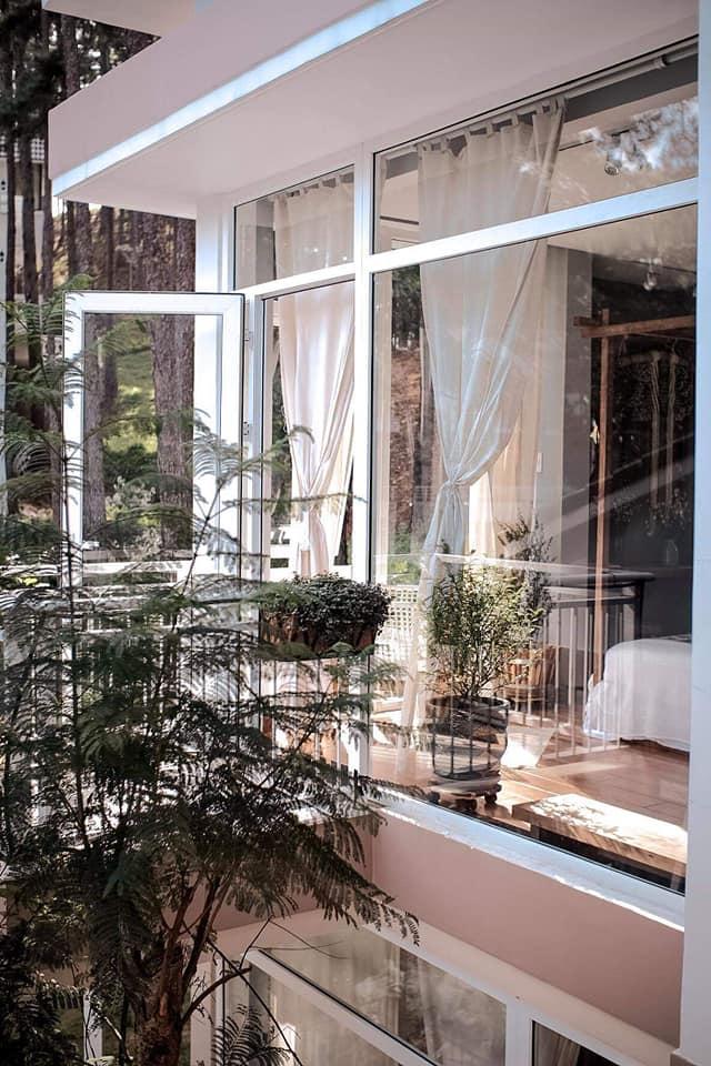 Biệt thự giữa đồi thông