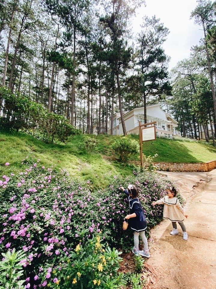 Biệt thự giữa đồi thông Đà Lạt