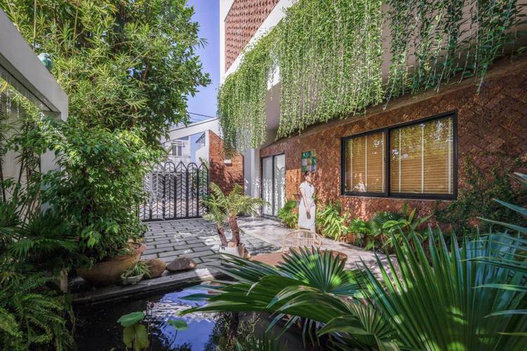 Khoảng sân vườn không quá rộng nhưng xanh mướt với đủ loại thực vật mọc xen kẽ nhau.