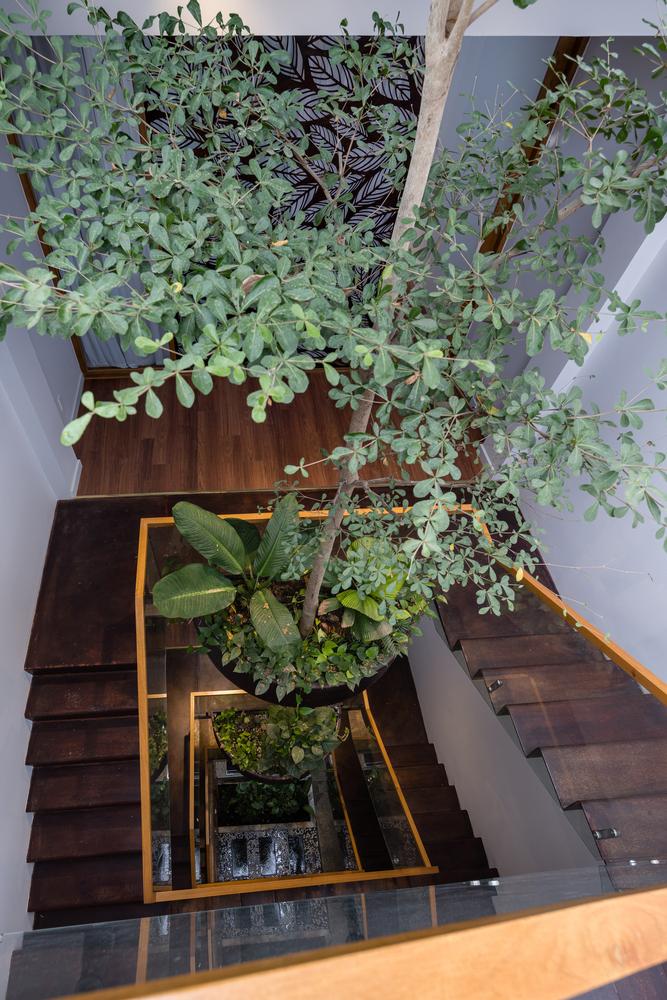 giếng trời giữa nhà