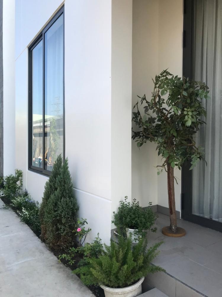 Cây xanh xuất hiện rải rác khắp ngôi nhà