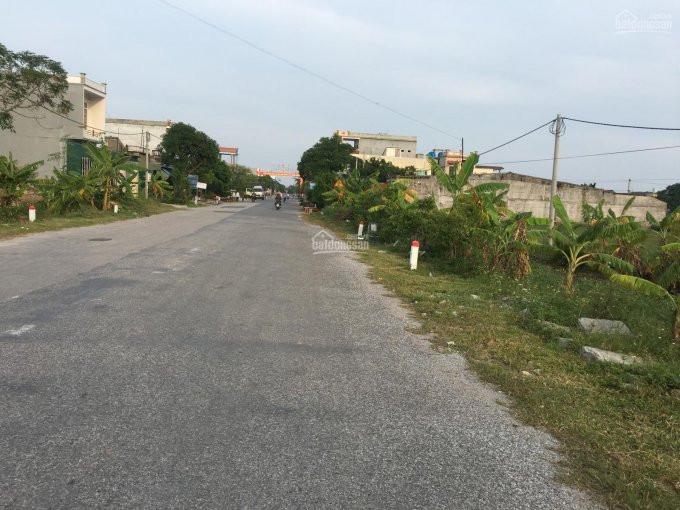 đường đi lớn, hai bên có nhiều cây cối