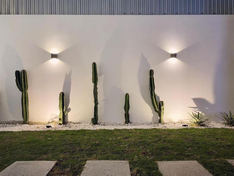 Sân vườn có tiểu cảnh xương rồng cá tính