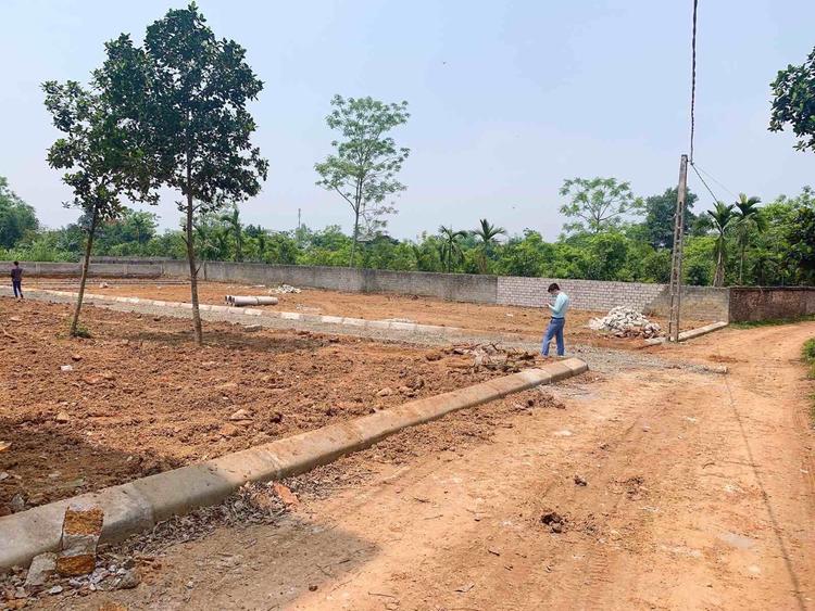 Đất phân lô giá rẻ ở vùng quê